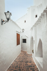 Wall Mural - White houses in the charming town of Binibeca on Majorca, Spain, vertical photo