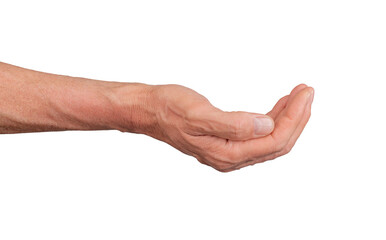 Wall Mural - Hand in a cupped shape, isolated on white background. Gesture indicating offering or begging, ideal for support and interaction concepts. Close up view showing detail., transparent PNG