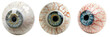 © OHMAl2T - set of eyeball ornament with veins and iris details isolated on transparent background