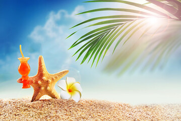 Wall Mural - Starfish and palm on the sandy beach. Summer time.