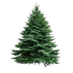 Christmas tree without trunk isolated on a white background