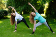 © Iryna - Two Women Practicing Yoga In  Green Park On  Sunny Day
