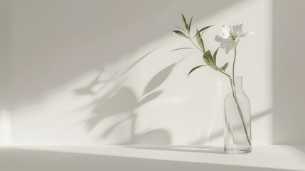 Sticker - A minimalist still life composition with a single flower in a glass vase on a white background, showcasing simplicity and elegance. --ar 16:9 --style raw Job ID: f1cdc898-81bf-4603-bab6-45e6a822f4f8