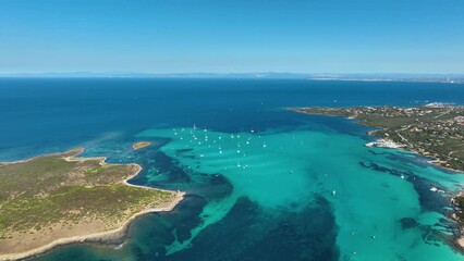 Wall Mural - drone view of the sea coast. rocky shore and sea water. vacation and travel. summer seascape. aerial