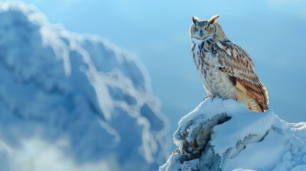 Owl standing majestically on a snowy mountain top, with the serene beauty of the snowy landscape and a calm blue sky