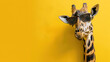 © yod67 - Cool giraffe wearing sunglasses on a yellow mastase background. Ideal for playful designs. Wildlife Animals.