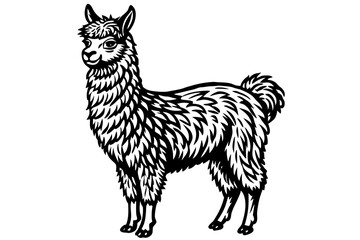 Poster - alpaca vector illustration