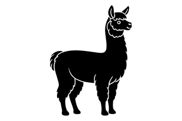 Poster - alpaca vector illustration