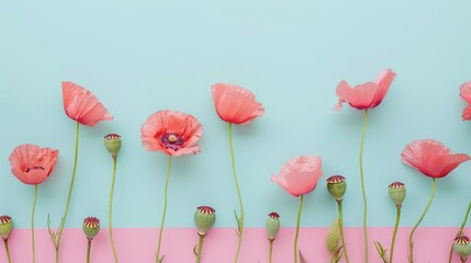 Wall Mural - Aesthetic poppies flowers on minimalist background. Modern floral wallpaper.