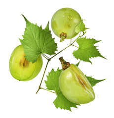 Wall Mural - Fresh green grape falling in the air isolated on white background. High resolution image.