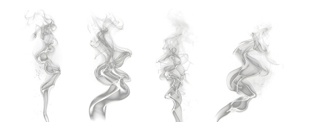 Wall Mural - Smoke tendrils rising and curling in various ethereal shapes, creating a mesmerizing and ephemeral display against a transparent background.