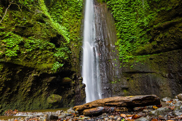 Wall Mural - Waterfall in a tropical rainforest in Indonesia (Jeruk Manis, Lombok)