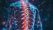 © Lexyat - 3D render of back pain, close up on spine area with highlighted bones in blue and red color.
