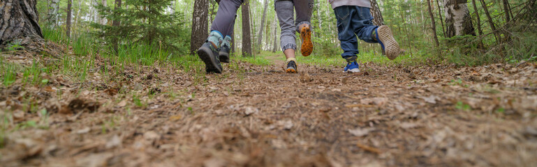 Canvas Print - walking in the woods