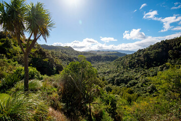 Wall Mural - Waitoharuru Valley in Rotorua - New Zealand