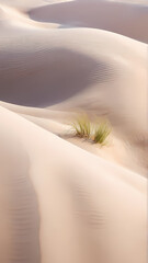 Canvas Print - sand dunes in the desert