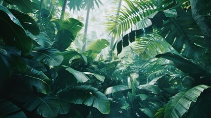 Wall Mural - Tropical rainforest with dense green bush foliage.