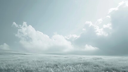Wall Mural - Field and clouds in a white hue