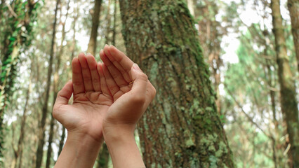 Hijabi Muslimah, serene in forest, finds solace, bowing in prayer, amidst nature's embrace