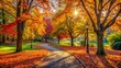 © Caitlin - Fall Splendor..A Beautiful Park In The Fall With A Winding Path, Colorful Trees, And A Warm Sun.