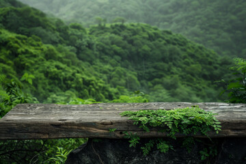 Wall Mural - A wooden bench is covered in moss and surrounded by lush green trees