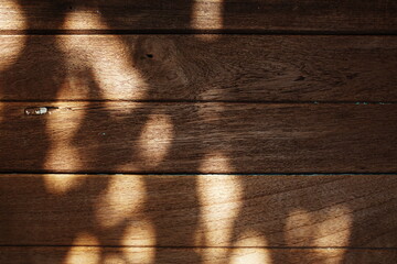 Wall Mural - close up of nature old wooden boards texture background