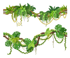 Wall Mural - tropical jungle forest liana vine branch. vector rainforest thicket, amazon or african flora, hangin