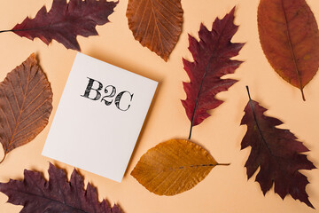 Wall Mural - A white card with the letters B2C