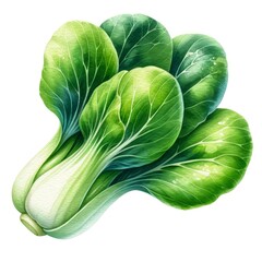 Wall Mural - Watercolor illustration of fresh bok choy with green leaves and white stems. The vegetable is depicted on a white background, highlighting its fresh and nutritious appearance.