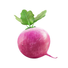 Wall Mural - fresh radish root clipart illustration