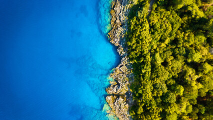 Wall Mural - drone view of the sea coast. rocky shore and sea water. vacation and travel. summer seascape. aerial
