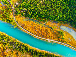 Wall Mural - drone view of the river and road in the forest. an aerial view of an woods. winding river among the 