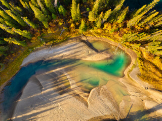 Wall Mural - drone view of the river in the forest. an aerial view of an woods. winding river among the trees. tu