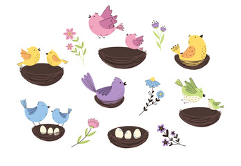 Wall Mural - Colorful birds with flowers and leaves set. Summer, spring illustration with cute birds in nests.