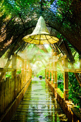 Poster - A cool walkway from the steam in a shady garden