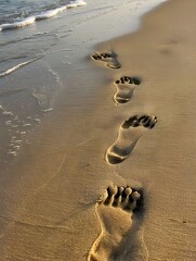 Wall Mural - Footprints left in the sand on the beach during summer