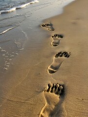 Poster - Footprints left in the sand on the beach during summer