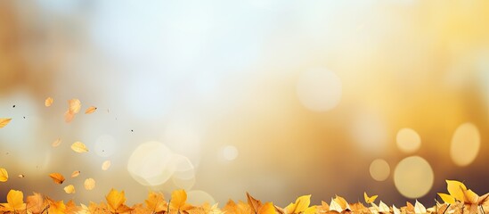 Poster - A captivating autumn background with a blurred bokeh effect showcases a scenic landscape filled with vibrant trees falling leaves and the vast sky The image features a stunning array of yellow autumn
