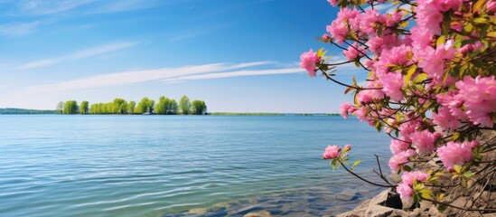 Sticker - A picturesque lakeshore with lush greenery and vibrant flowers in full bloom set against a clear blue sky on a sunny spring day providing a perfect copy space image