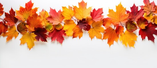 Poster - An exquisite border frame formed by an assortment of vibrant autumn leaves isolated on a pristine white background creating an ideal copy space image