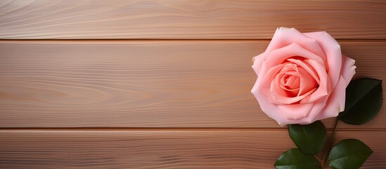 Sticker - A rose flower is beautifully displayed on a wooden background with a frame surrounding it creating a serene and captivating copy space image