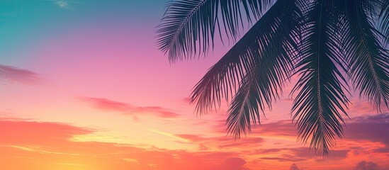 Poster - A tropical palm tree silhouette is framed against a vibrant sunset sky creating an abstract background The image conveys a sense of summer vacation and nature travel adventure enhanced by a pastel to