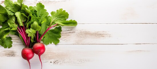 Poster - A single vibrant red radish with its fresh green leaves set against a white wooden background A vegetable themed backdrop perfect for displaying text Top view. Creative banner. Copyspace image