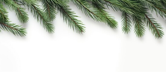 Poster - Christmas wallpaper with fir branches placed on a white wooden background captured in a flat lay perspective with enough copy space for additional elements