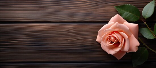 Aufkleber - A rose flower is beautifully displayed on a wooden background with a frame surrounding it creating a serene and captivating copy space image
