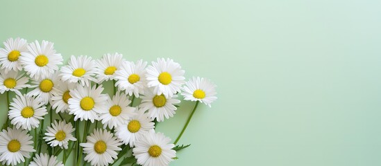 Poster - On a pastel backdrop there is a group of tiny daisies with green stems This image is perfect for the holidays and there is copy space available