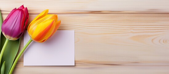 Poster - A colorful tulip in yellow and red hues stands beside a purple greeting card set against a backdrop of white wooden planks A copy space image is available for adding personalized text