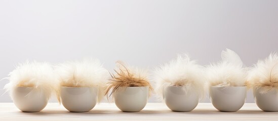 Poster - A rustic copy space image of farm fresh free range white chicken eggs displayed in egg cups with authentic feathers on a light background promotes the idea of natural healthy nutrition from rural dai