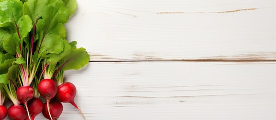 Sticker - A single vibrant red radish with its fresh green leaves set against a white wooden background A vegetable themed backdrop perfect for displaying text Top view. Creative banner. Copyspace image