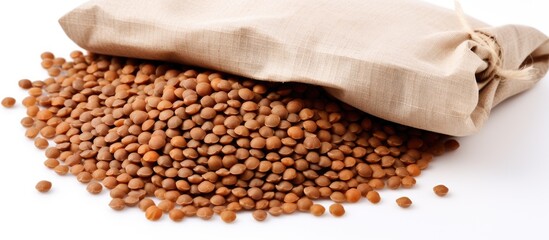 Poster - A copy space image of dry uncooked lentils in a white paper bag isolated on a white background captured with soft light in a studio setting Perfect for a festive dish during Christmas and New Year ce